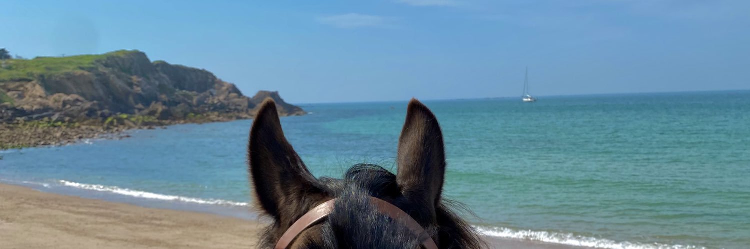 Leaaxn's profile banner image