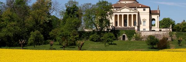 Centropaghe Profile Banner