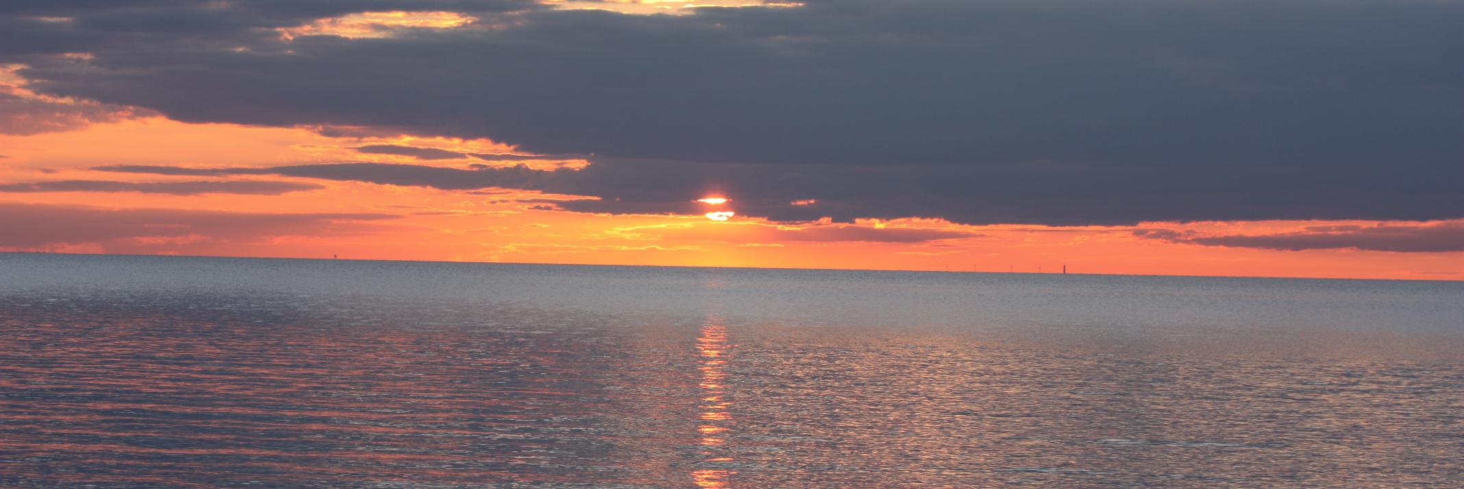Pattycapecod's profile banner image