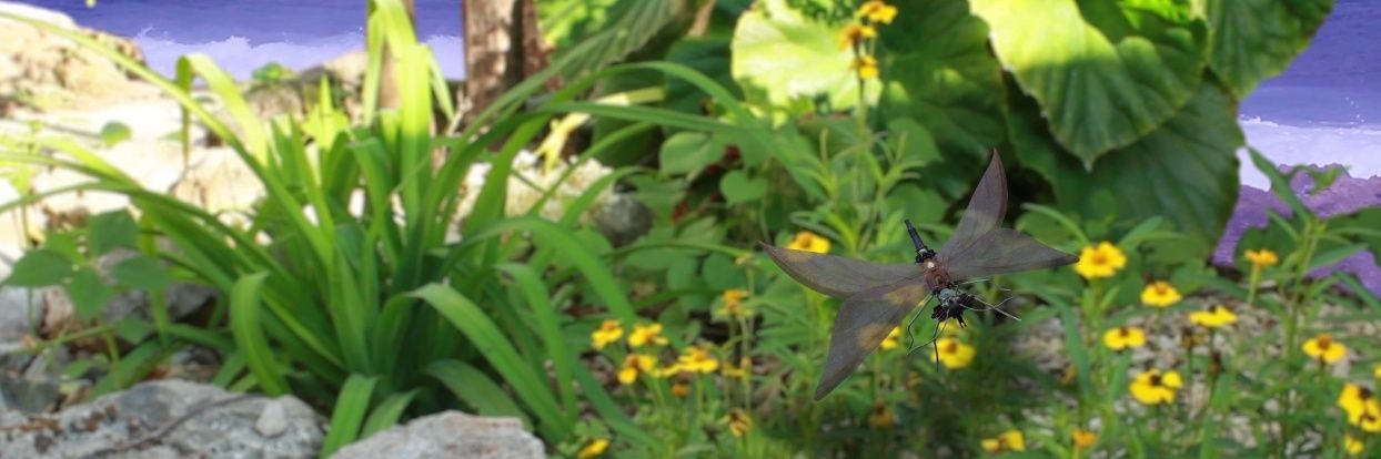 AlejandroSautie's profile banner image