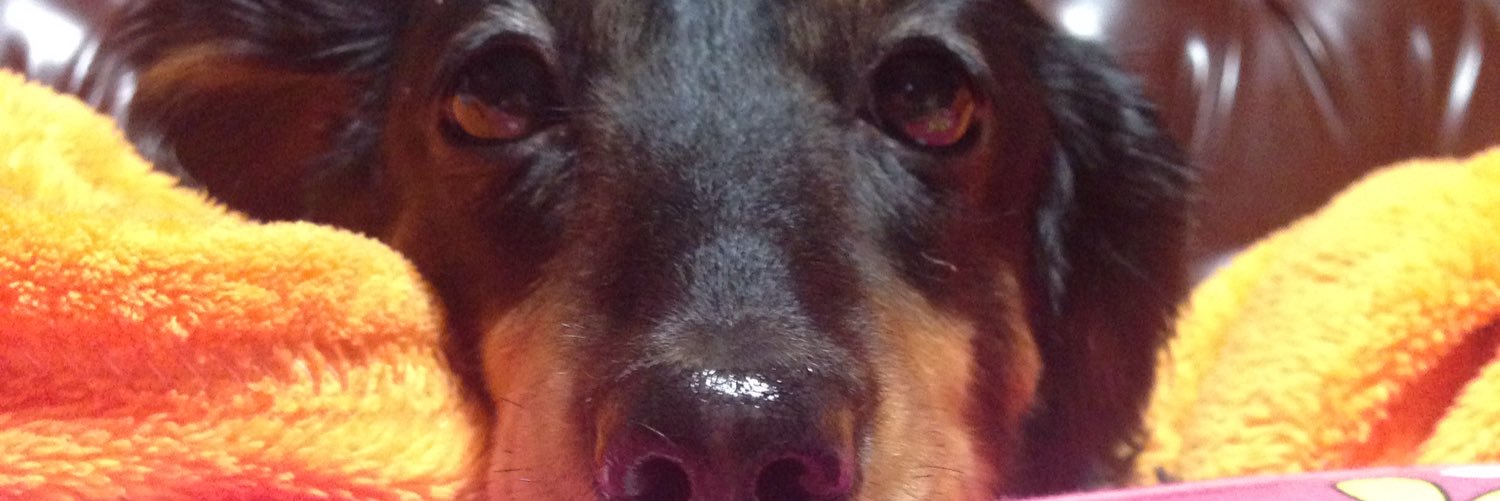ITosmKT's profile banner image