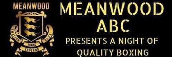 MeanwoodBoxing Profile Banner