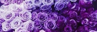 yUumi_jam's profile banner image