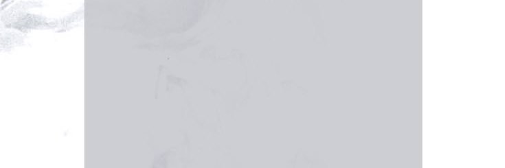 anesanesa's profile banner image