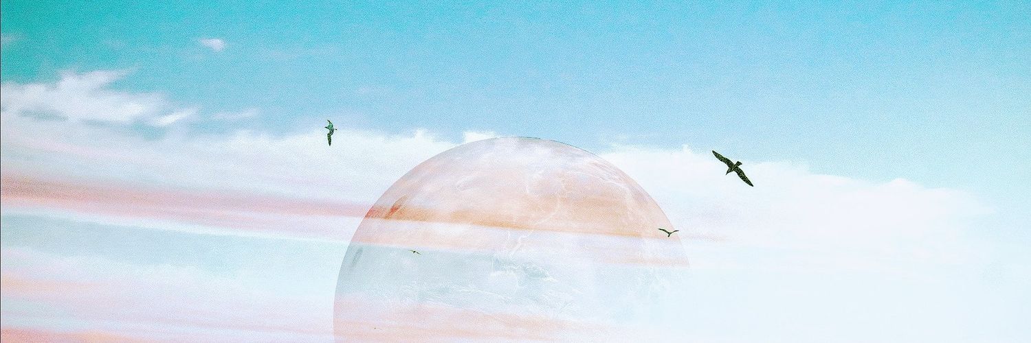 taratill5's profile banner image