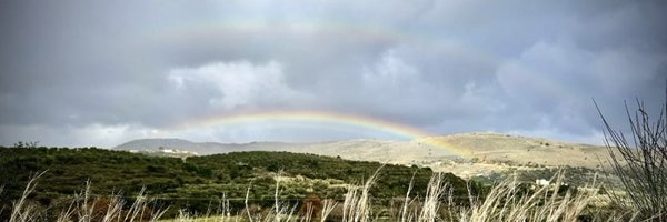 DeepshikhaT Profile Banner