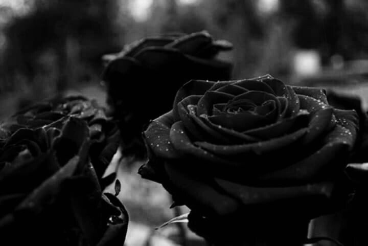 ABJimenS's profile banner image