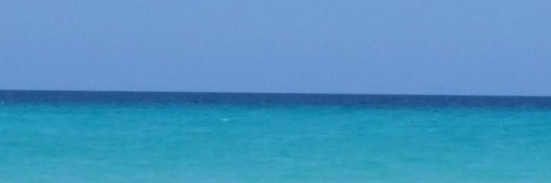 Mstambrown's profile banner image