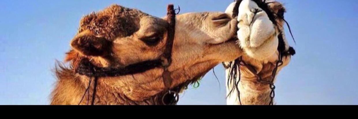 abdulrhim5001's profile banner image