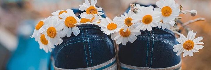 SevalsSeval's profile banner image