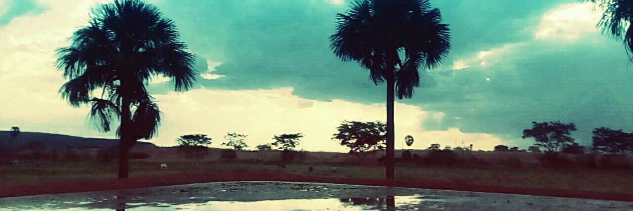 grasyelemaria's profile banner image