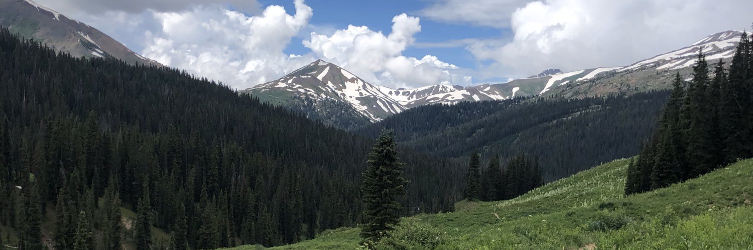 Juliann Couture banner