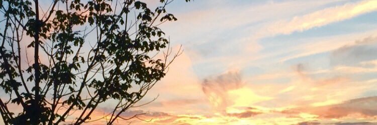 Ms_Edore's profile banner image