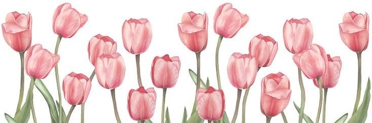 Amalia Hasan👸🏻 banner