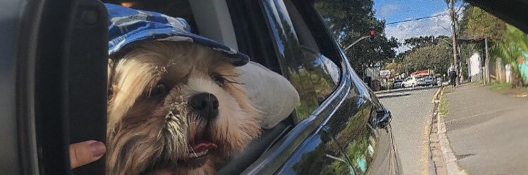 cizifer's profile banner image