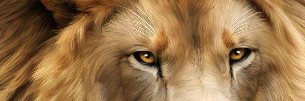 JoeDice67420's profile banner image