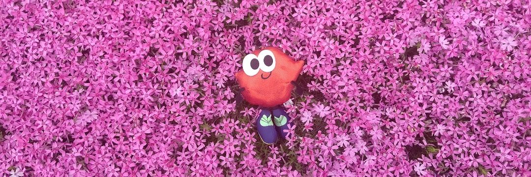 (fumi*˙˘˙)‥₂₄( 'Θ' ) Nissy_LYS☺︎*⋆⚘*ﾟ❤︎ banner