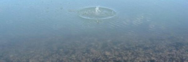 JmayWalker Profile Banner