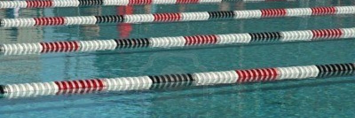 Edison HS Swim&Dive banner