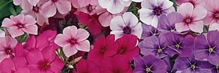 MeghanB87's profile banner image
