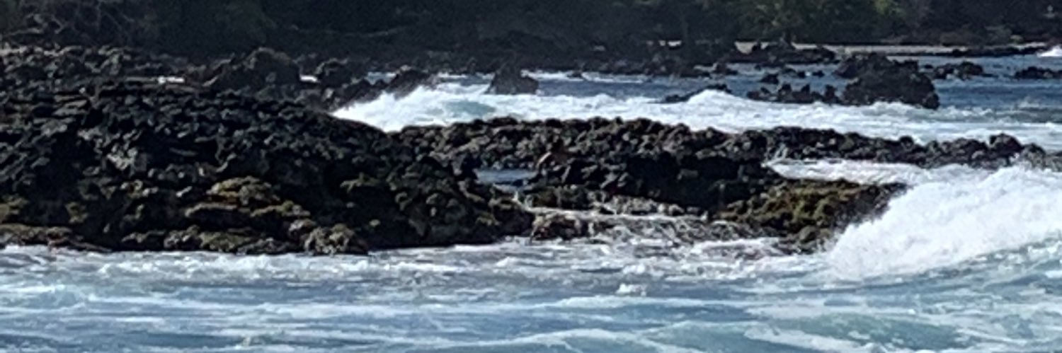 Team SaveFearUs banner