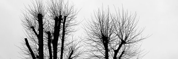 10DaysThatShook Profile Banner