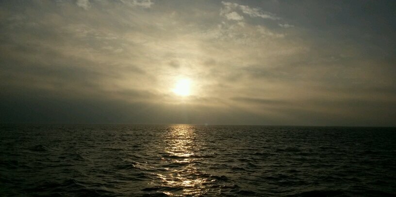 D_REIJER's profile banner image