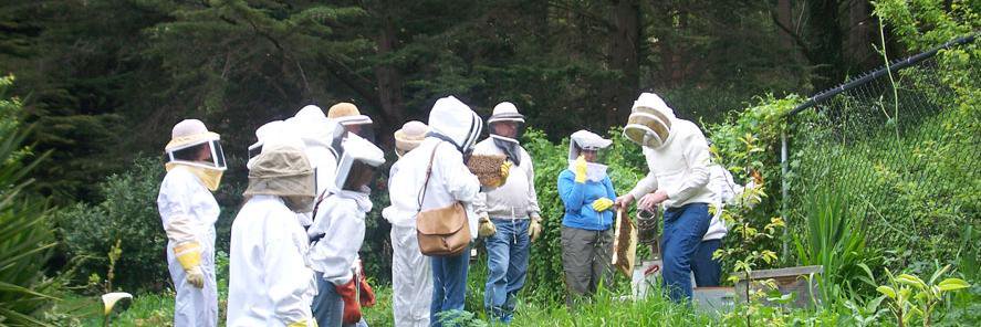 San Francisco Beekeepers Association banner