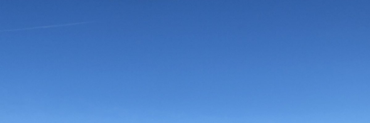 leo banner
