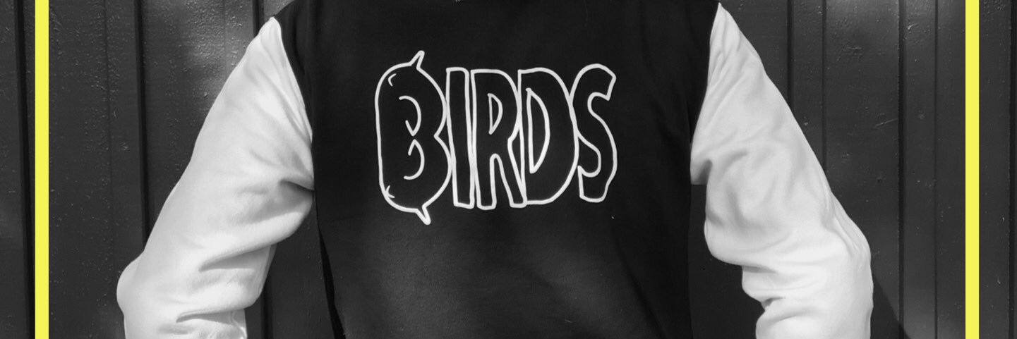 Birds Records banner