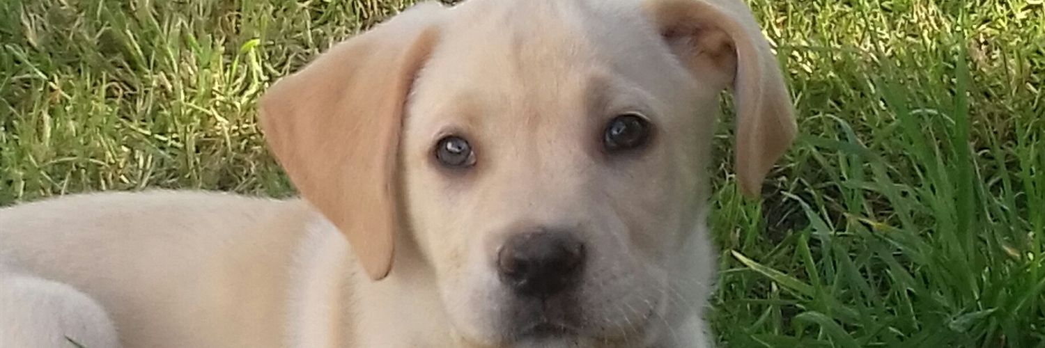 jovdu44's profile banner image