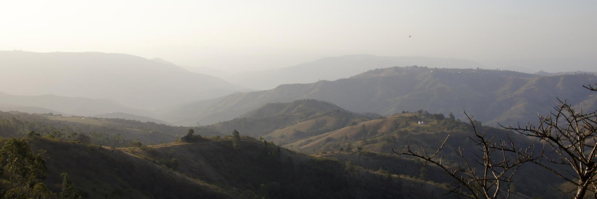 advorec's profile banner image