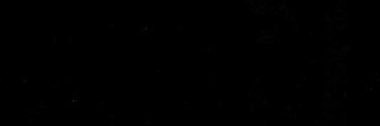 dnns_nd's profile banner image