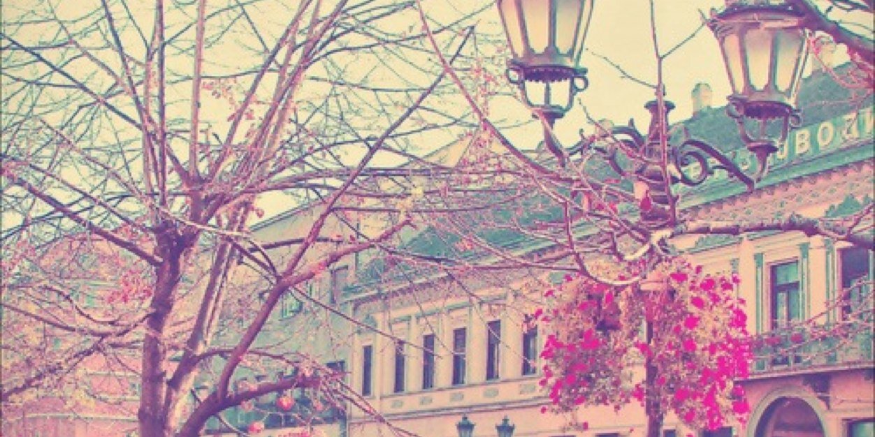 Dew banner