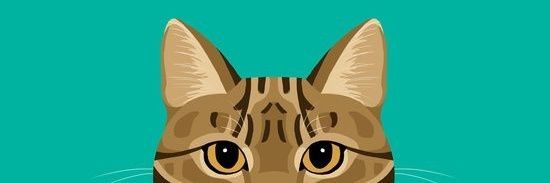 ikkeNurAd's profile banner image