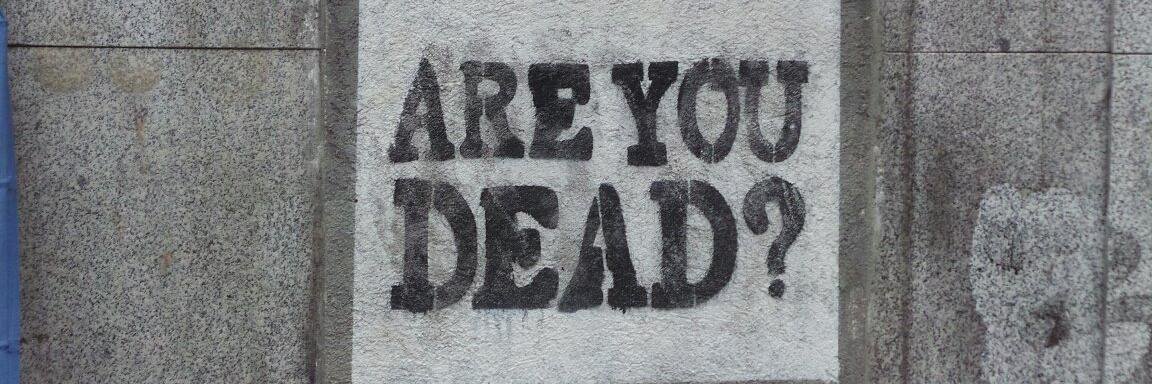 TheRealWillSh​uler banner