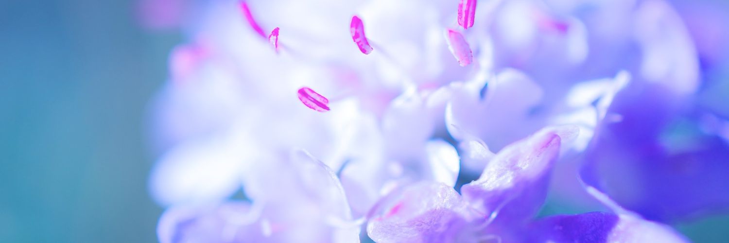 horanssweets's profile banner image
