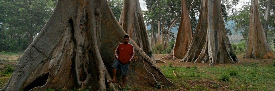 BimaFebio's profile banner image