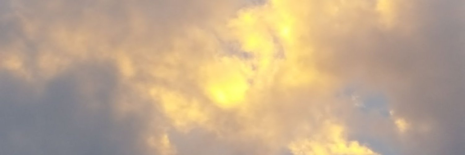 a_wittywhatever's profile banner image