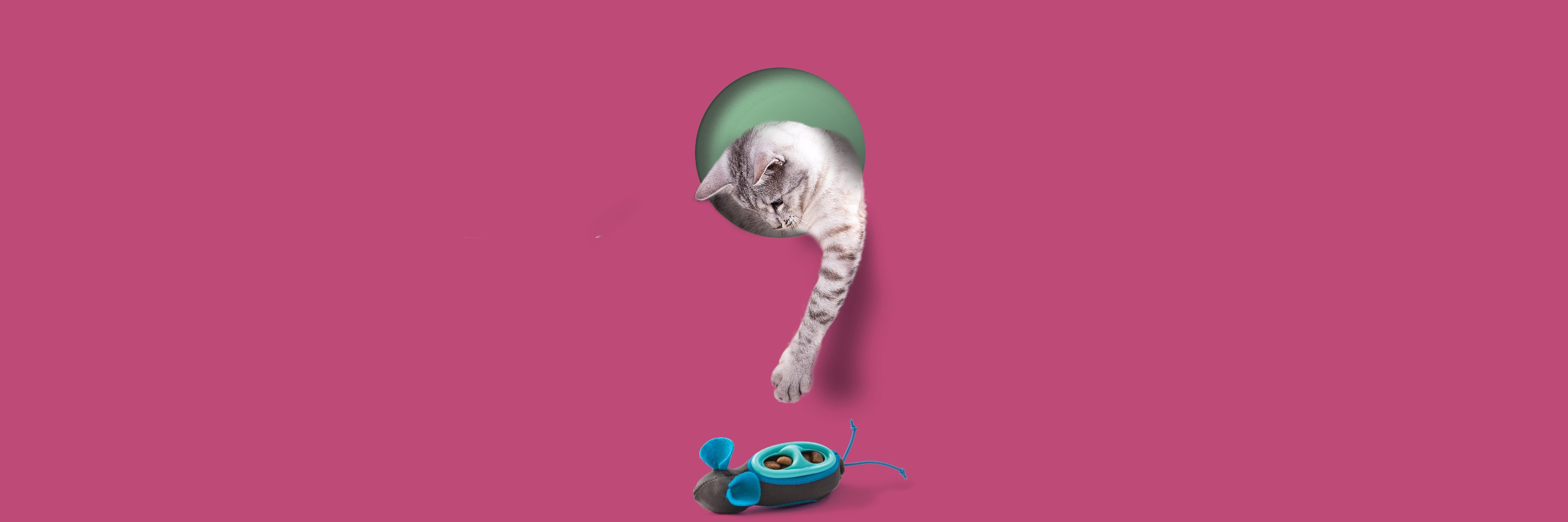 Doc&Phoebe's Cat Co banner