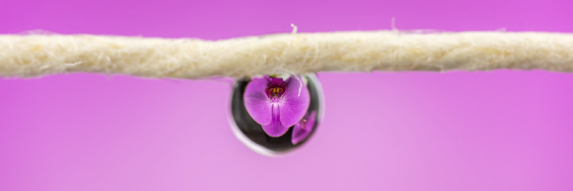 myneit's profile banner image
