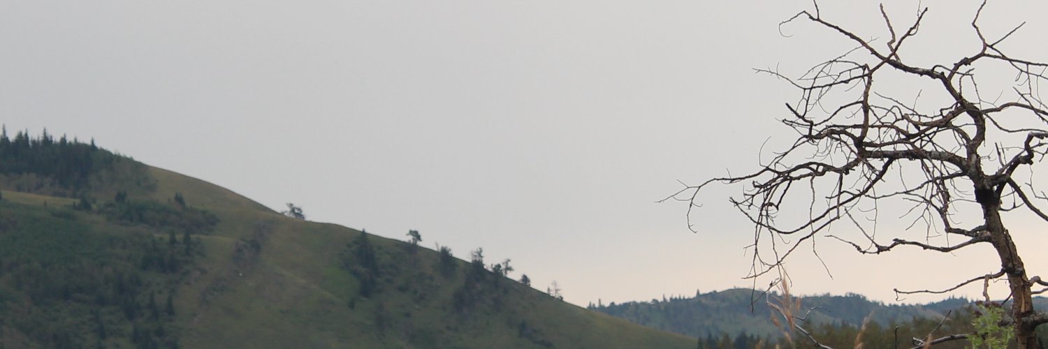 heatherkosborne's profile banner image