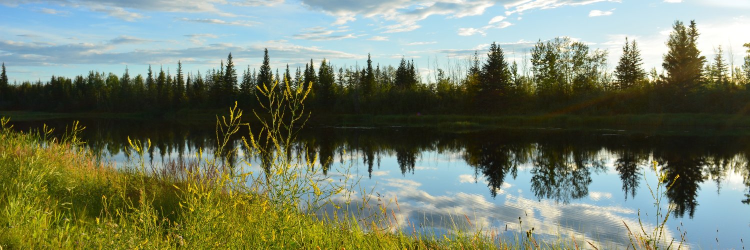 Robert Stevenson banner