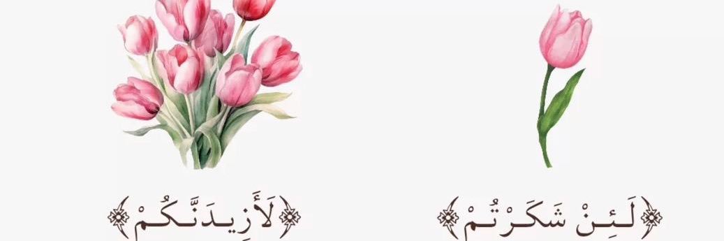 1Roohy's profile banner image