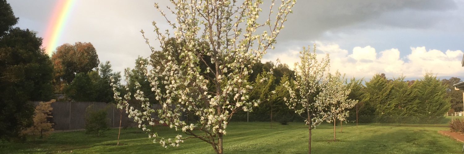 Mario 🇦🇺 banner