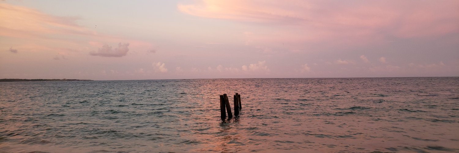 Ross4644's profile banner image