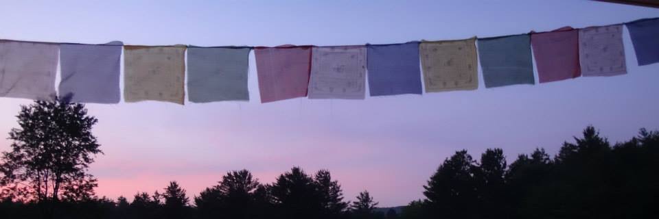 studentoftrees's profile banner image