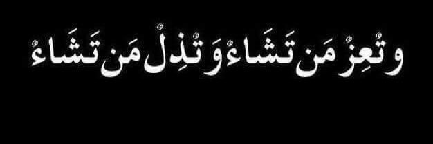 Mustafa Zahid banner