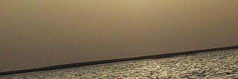 radhialsari's profile banner image
