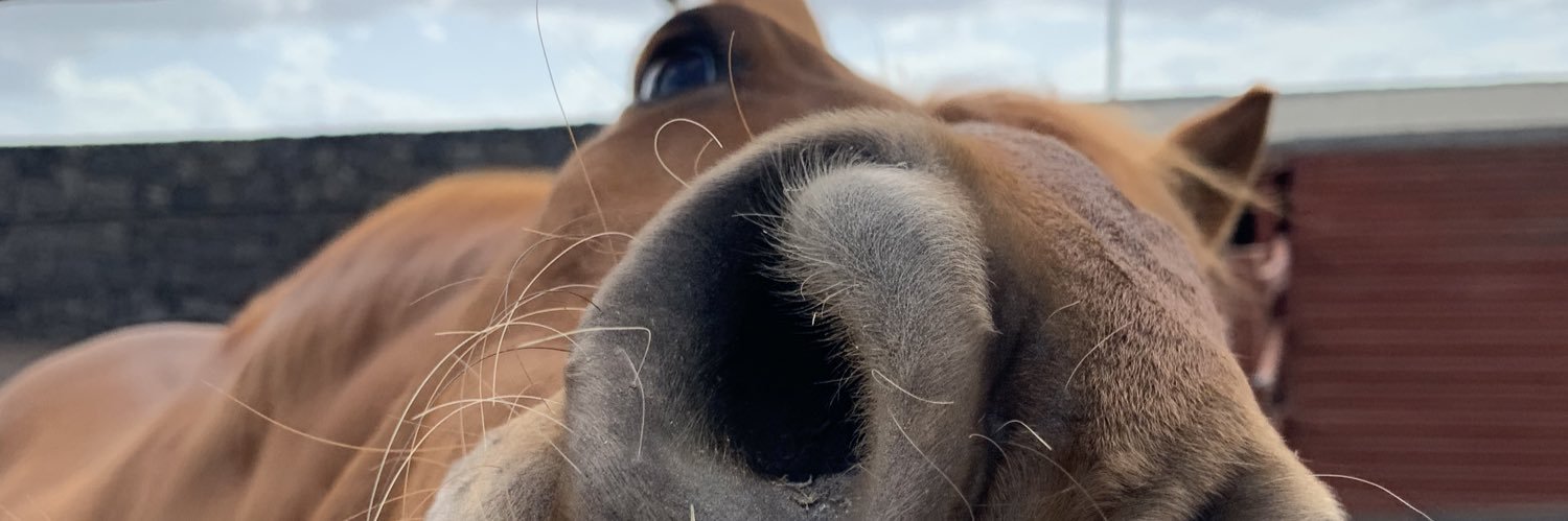 LottieAtwell's profile banner image